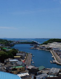 校舎（１号館）からの風景